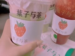 -叶子与茶(苏宁广场店)