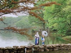 -紫霞湖公园
