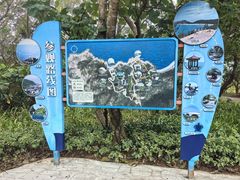 -广东惠东海龟国家级自然保护区