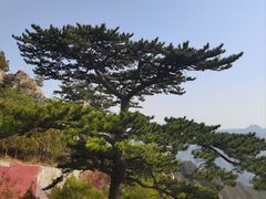 -圣莲山风景区