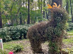 -共青国家森林公园-售票处