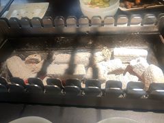 -很久以前羊肉串(中山公园店)