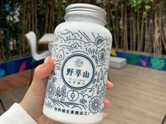 -野萃山·潮汕厚果汁(十亩地店)