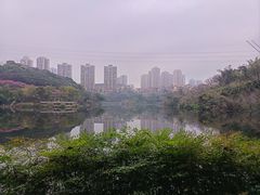 -重庆彩云湖湿地公园