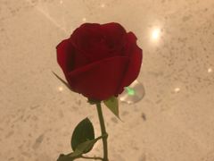 -新世界百货(顺义店)