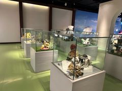 -成都泰迪熊博物馆