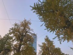 -两江幸福广场