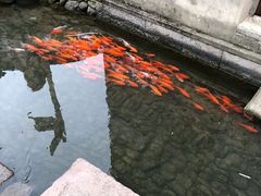 -前童古镇