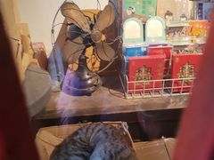 -正阳书局(西四南大街店)