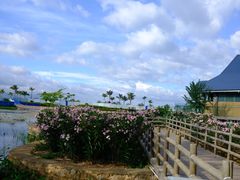 -抚仙湖禄充风景区