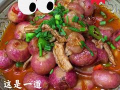 -龙小海荆沙鸽子店(瑞安街店)