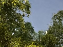 -深圳湾公园(南山区)