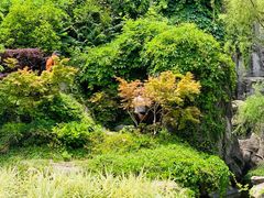 -江宁织造博物馆