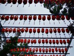 -亭林园-华藏寺