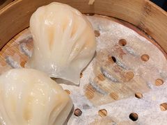 -高第街56号餐厅(银座商城玉函店)