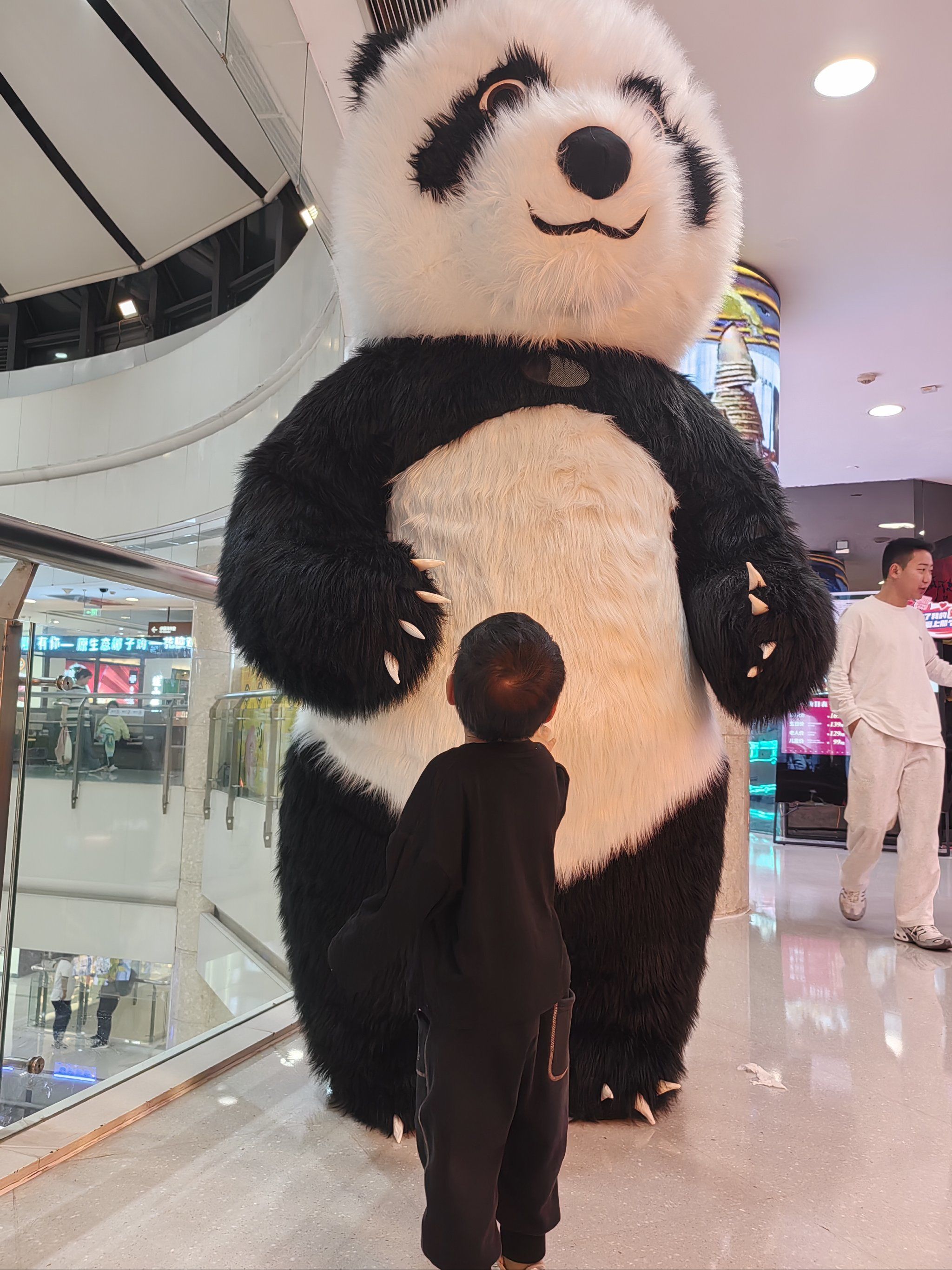 无法拒绝的遛娃地,行走的大熊猫哪个宝宝不爱呢