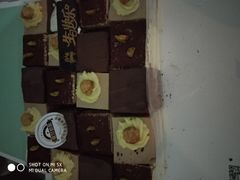 -维尔纳斯·生日蛋糕动物奶油冰淇淋蛋糕(人大店)