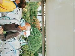 -羊山湖公园