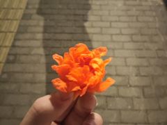 -梅花境(万科店)