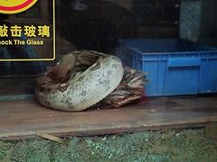 -南昌动物园