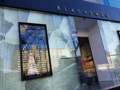 -BLACKSWAN黑天鹅(环球店)
