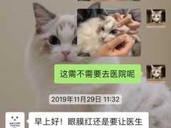 -爱妮康宠物医院·干细胞免疫细胞·肿瘤·心脏(张江店)