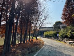 -宁波杭州湾国家湿地公园