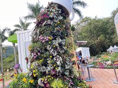 -深圳仙湖植物园