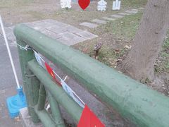 -上海佘山国家森林公园天马山园