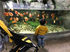 -福州罗源湾海洋世界旅游区