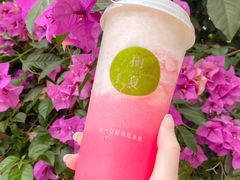 -树夏(建设路店)