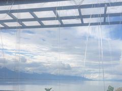 -野菌皇海景野生菌火锅(滨海大道店)