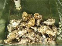 -四海鲜渔家菜(黄金海岸店)