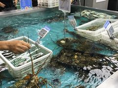 -盒马鲜生(宝地店)