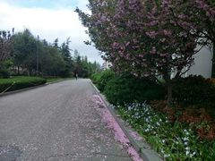 -山东外贸职业学院