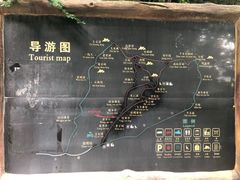 -王顺山国家森林公园