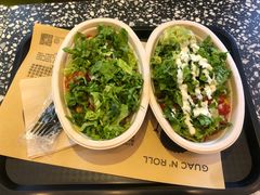 -油梨树AVOCADO TREE(顺义新国展店)