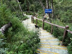 -叠溪松坪沟景区