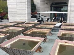 -上海崇明金茂凯悦酒店