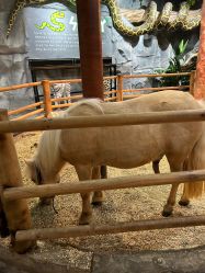 -Zoolung Zoolung动物主题公园(海信广场店)