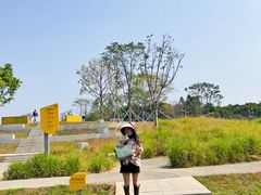 -光明小镇欢乐田园