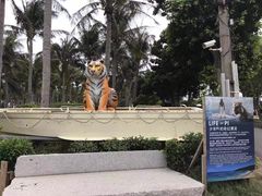 -白沙湾海滩