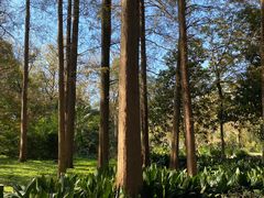 -柳莺湖上·湖景餐厅·江南菜(西湖店)