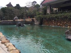 -森波拉火山温泉