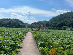 -红山村