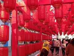 -青岛方特梦幻王国