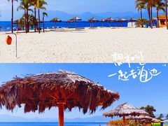 -月亮湾湿地公园