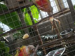 -大连森林动物园