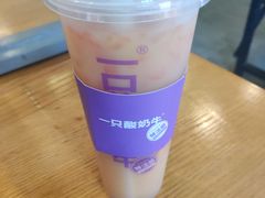 -一只酸奶牛(锦城万达天虹店)