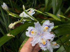 -蠡湖大桥公园